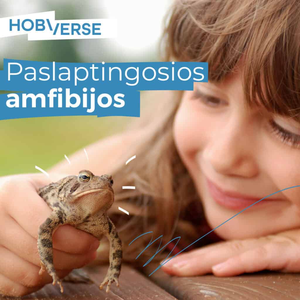 Paslaptingos-amfibijos I Edukacijos klasėms HOBIVERSE